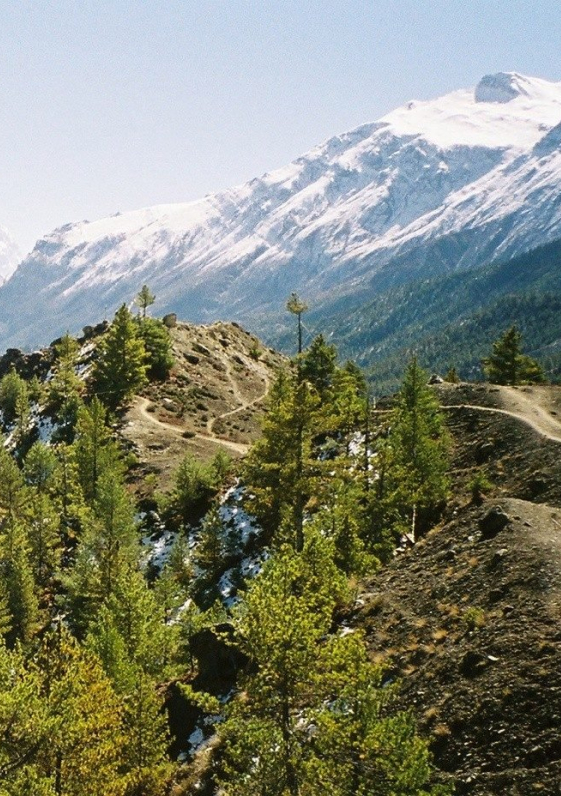 Annapurna Circuit Trek